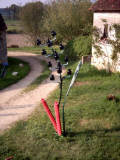 VEGETAUX METALLIQUES