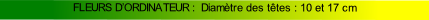 FLEURS D’ORDINATEUR :  Diamètre des têtes : 10 et 17 cm